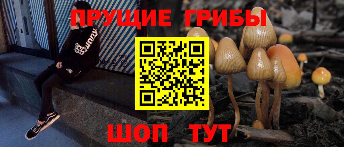 Псилоцибиновые грибы GOLDEN TEACHER Новодвинск