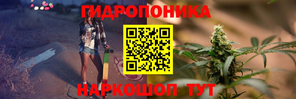 Конопля SATIVA & INDICA Новодвинск